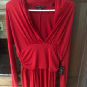 NWT Boston Proper dress